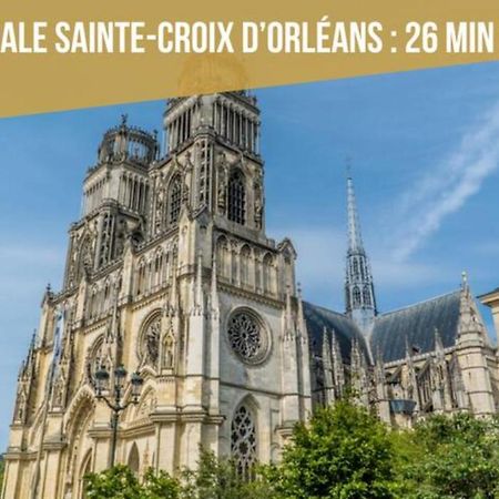 Le Micy - Joli T2 + Parking Apartment Orleans Bagian luar foto